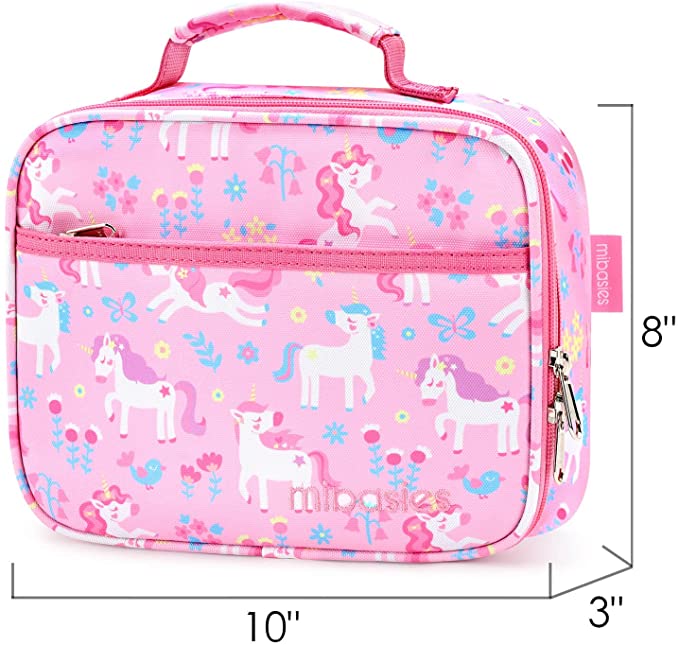 FUN FOR SPRING lunchbox mibasies