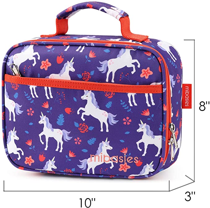 FUN FOR SPRING lunchbox mibasies
