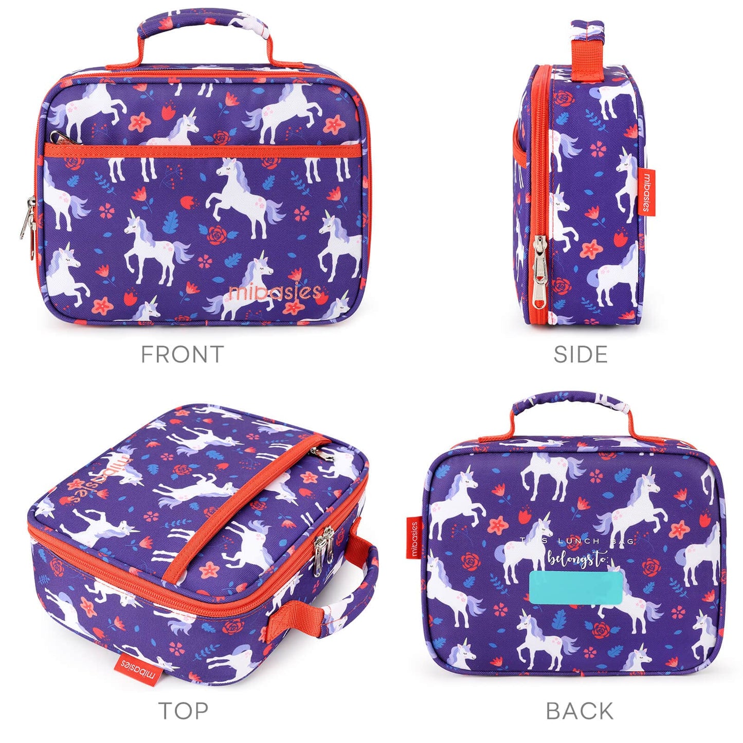 FUN FOR SPRING lunchbox mibasies