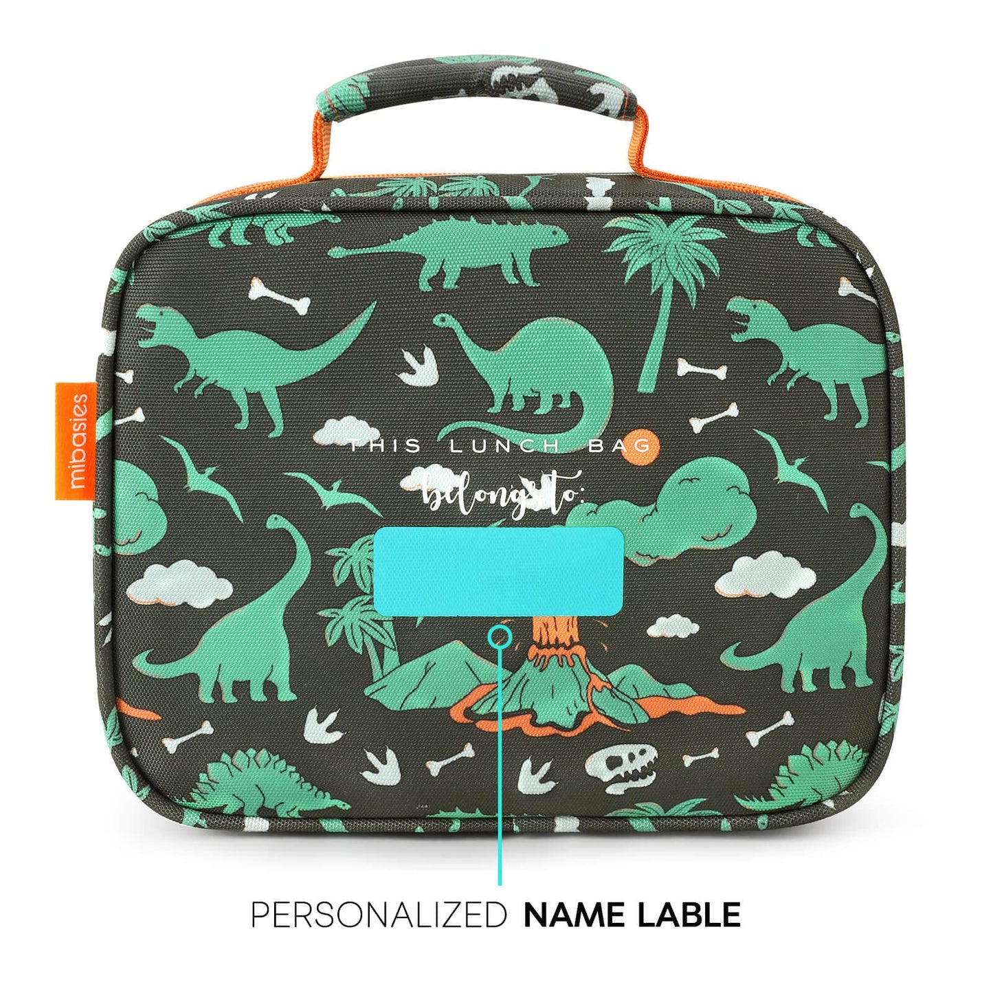 Mr. Dino lunchbox mibasies