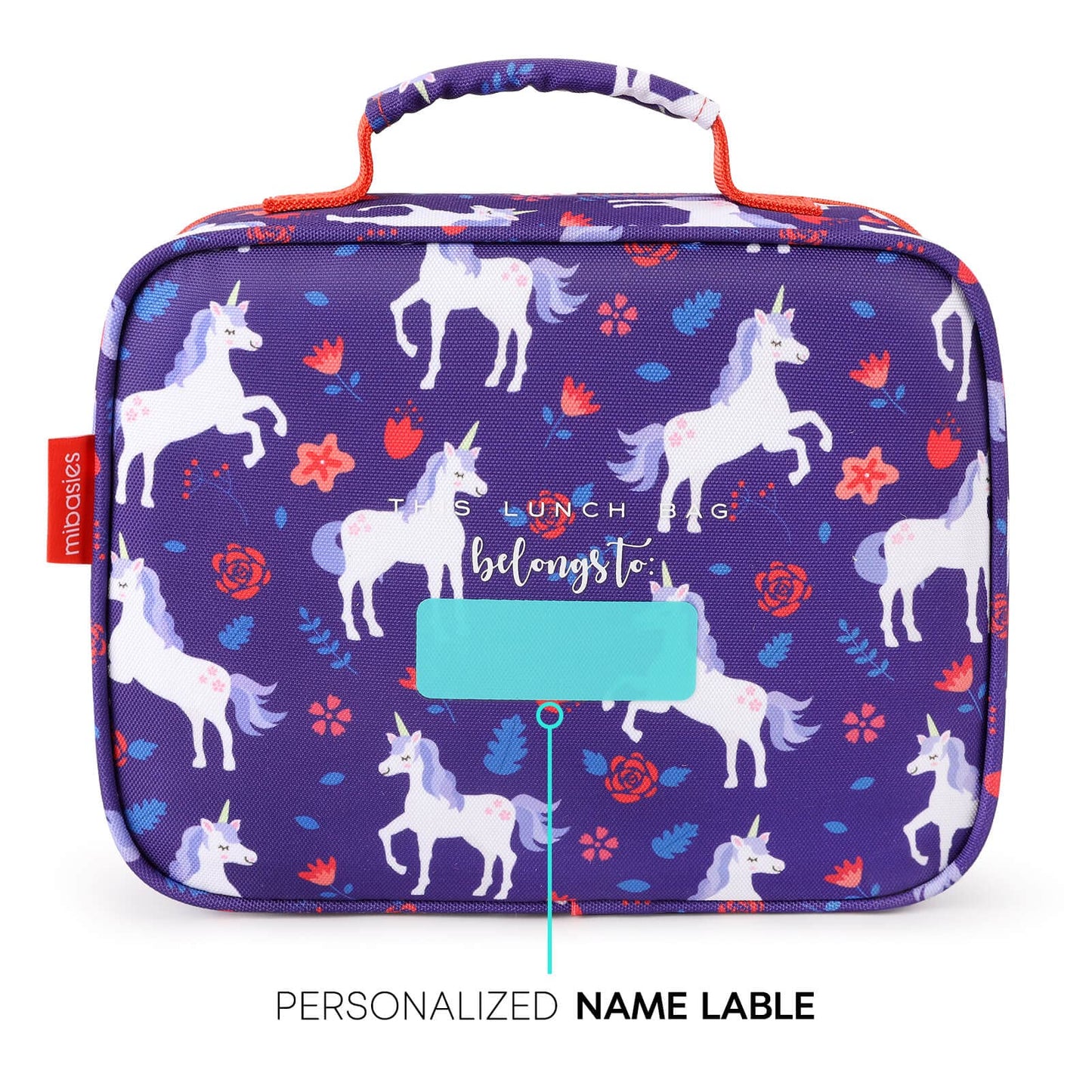 FUN FOR SPRING lunchbox mibasies