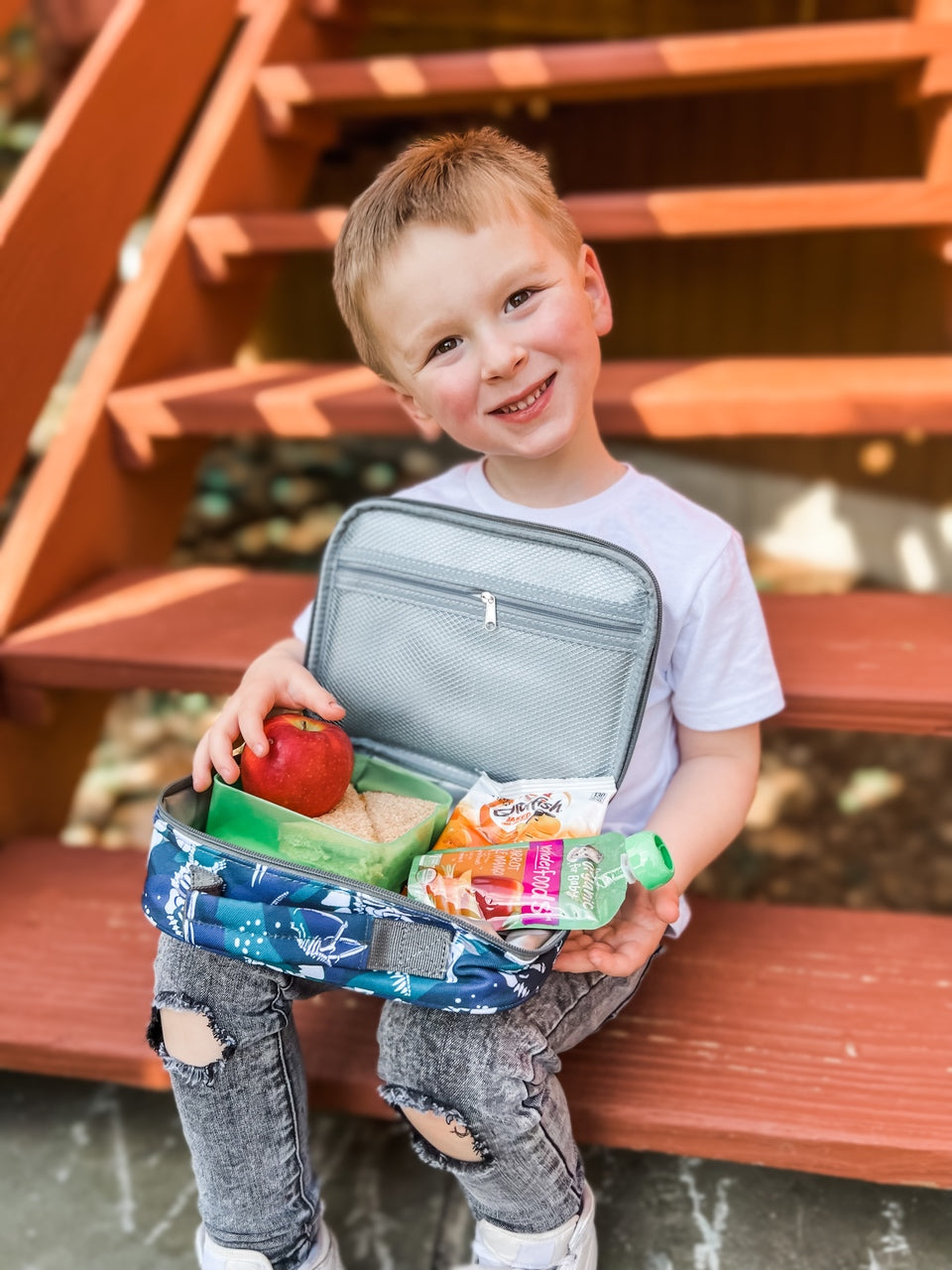 Mr. Dino lunchbox mibasies