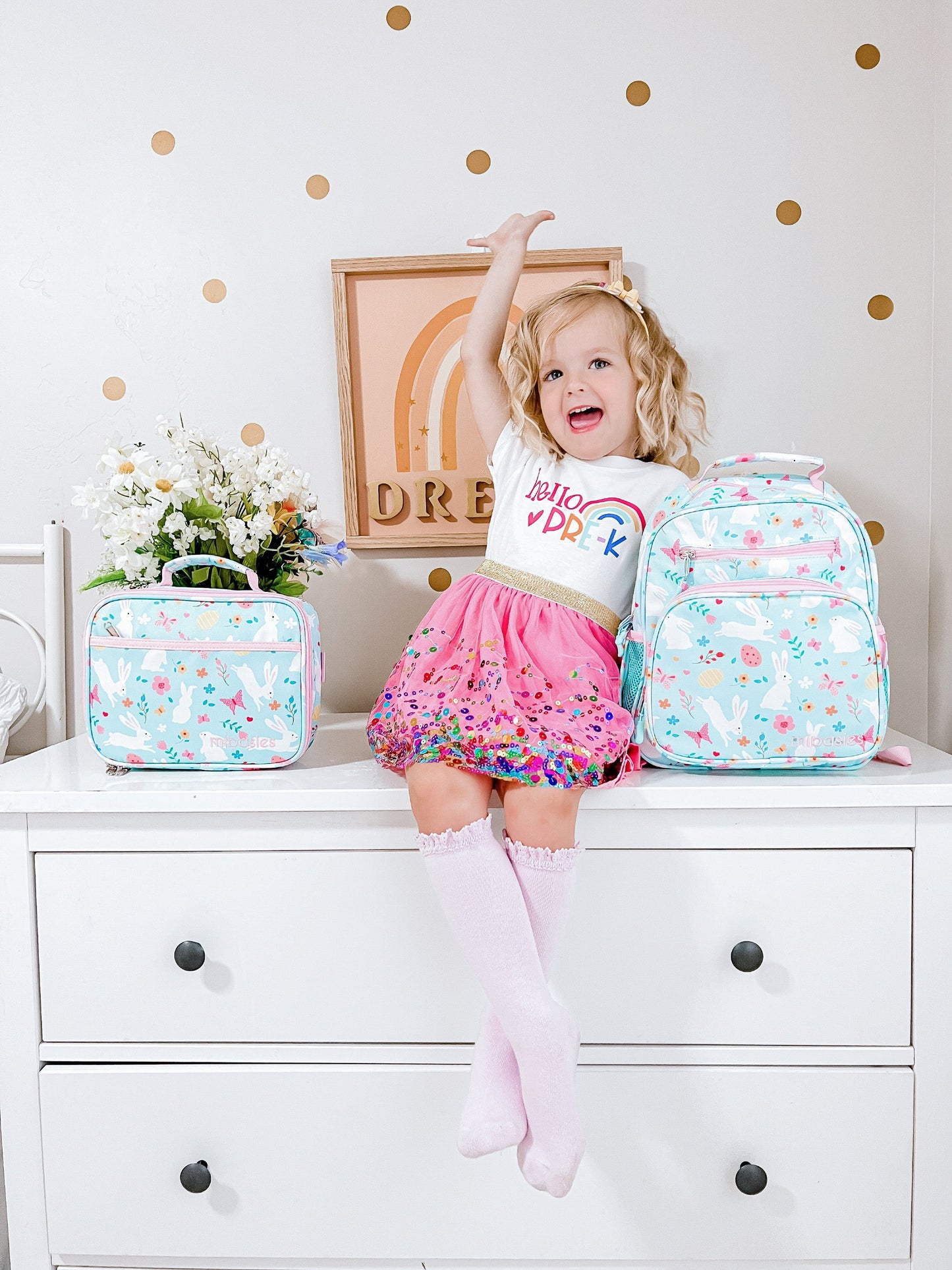 FUN FOR SPRING lunchbox mibasies